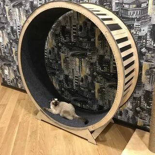 Беговое колесо для кошек
