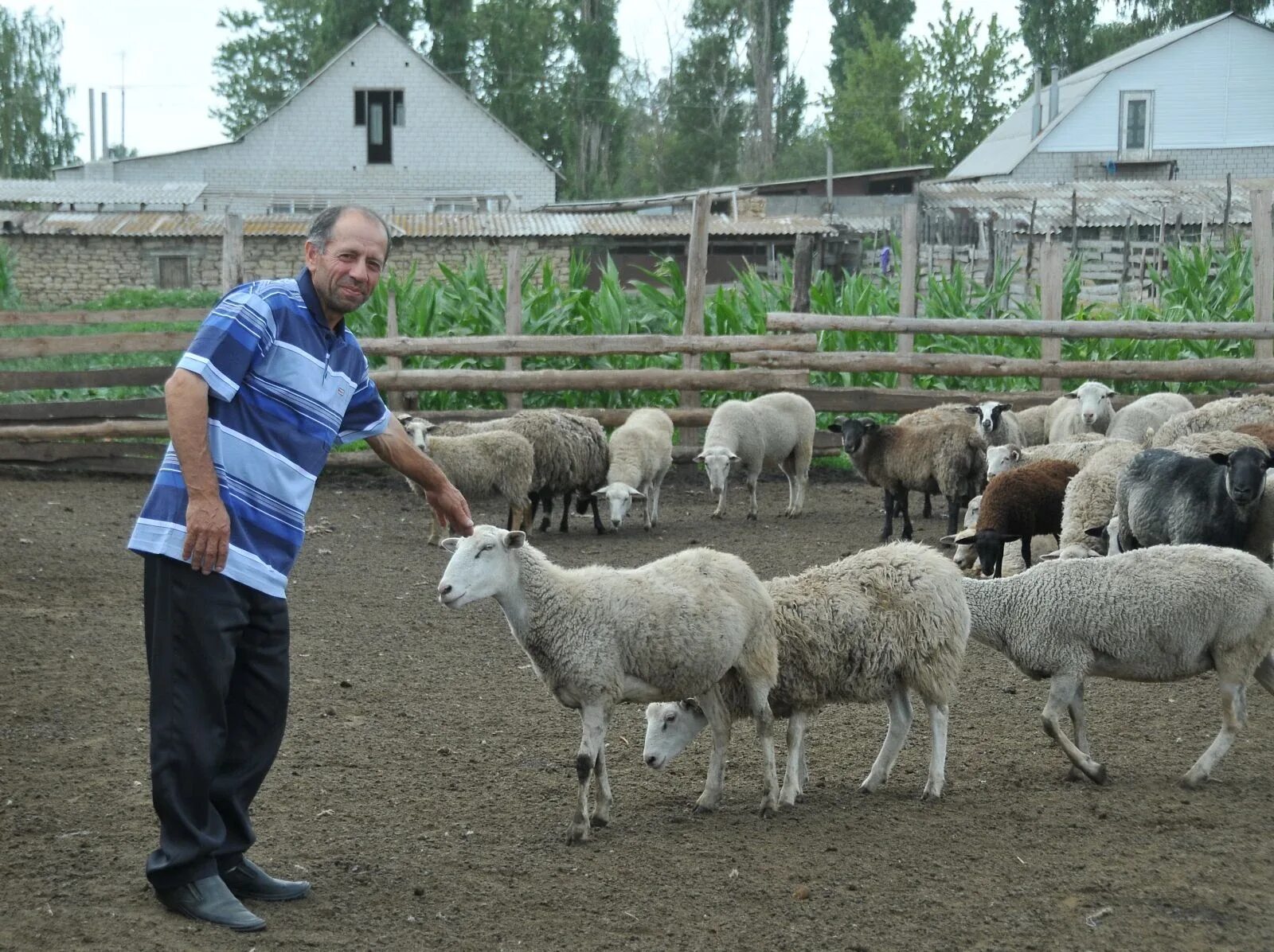 Наличие подсобного хозяйства. ЛПХ. Личное подсобное хозяйство. Личные подсобные хозяйства. Личное подсобное хозяйство (ЛПХ).