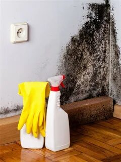 Пропитка GOL expert Антиплесень 1л купить в Сочи на МногоСтрой