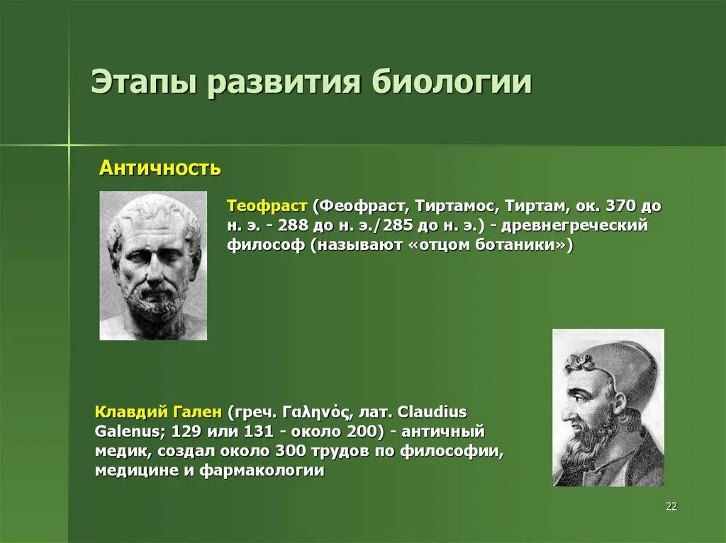 Чем характеризуется биология в античный период. Древнегреческий философ Теофраст. Этапы развития биологии. Исторические этапы развития биологии. Периоды развития биологии.