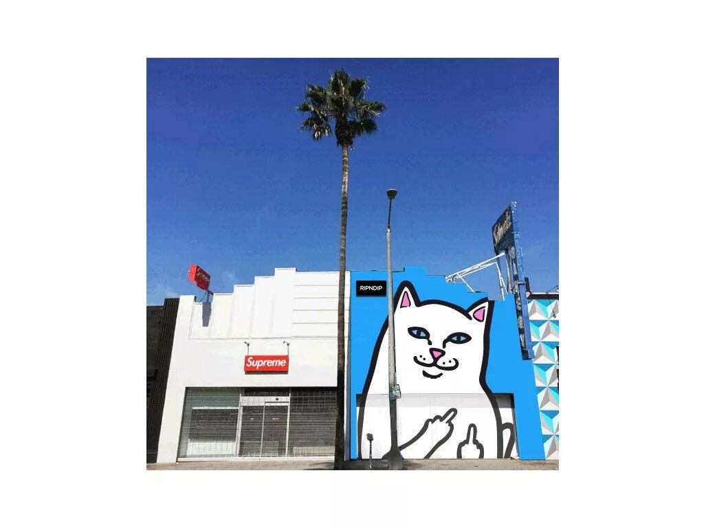 Swerve and a dip шаблон. Ripndip магазин америка. ripndip фигурка. ripndip euphoria. котик рипндип.