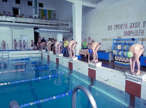 Современный бассейн в школе. Бассейн с дорожками. Орленок лагерь сосны белая калитва. Бассейн поток. Спортивный бассейн.