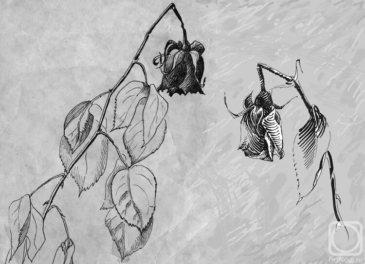 Птицы улетят и цветы завянут впр ответы. Завядшая цветок карандашом. Увядающий цветок рисунок. Увядший цветок карандашом. Увядшее растение.