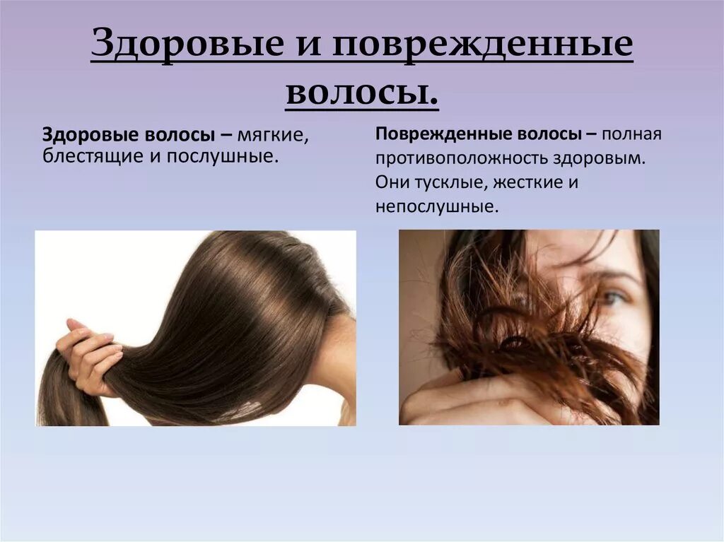 Степени повреждения волос. Презентация на тему волосы. Здоровый и поврежденный волос. Характеристика здоровых и поврежденных волос.