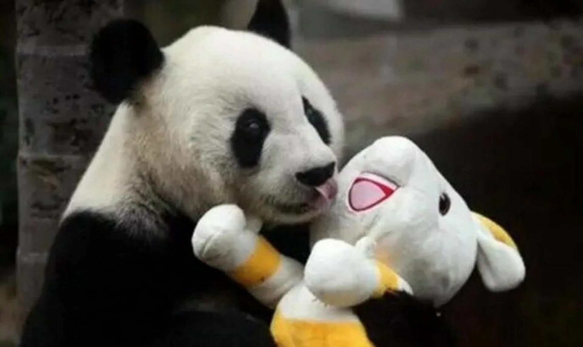 Pass pandas