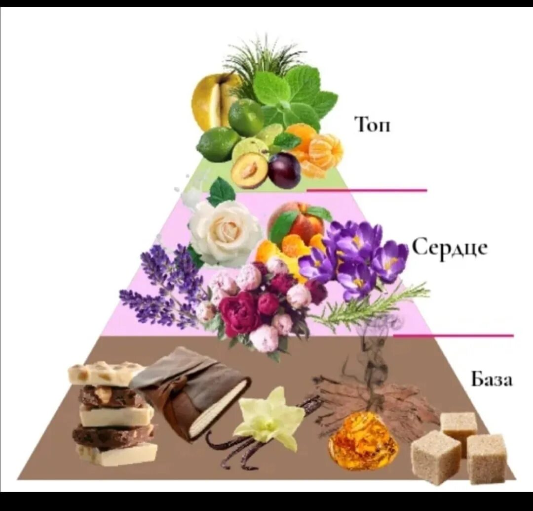 Пирамида туалетной воды. Ольфакторная пирамида в парфюмерии. Ольфакторная пирамида эфирных масел. Верхние Ноты духов. Базовые Ноты в парфюмерии.