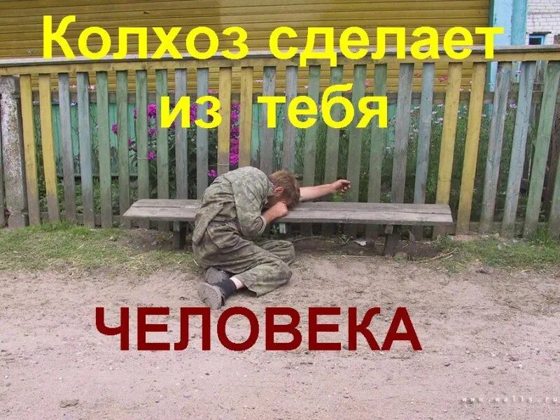Колхоз приколы. Колхоз прикол. шутки про колхоз. мемы про колхоз. колхоз прикольные картинки.