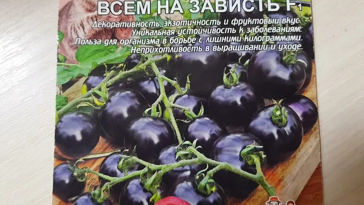 Томаты всем на зависть фото. Семена томат "всем на зависть" f1, 12 шт. Семена томат всем на зависть f1. Томат всем на зависть f1 20шт. (Уральский Дачник). Томат всем на зависть f1 уд.