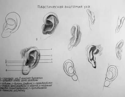 Ухо тест