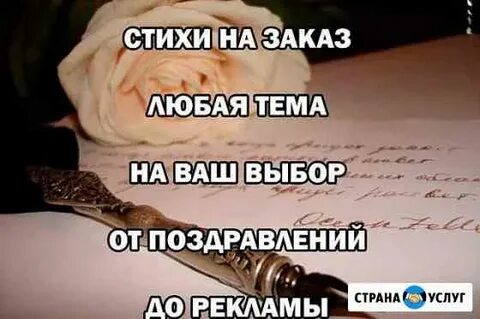 Напишу на заказ