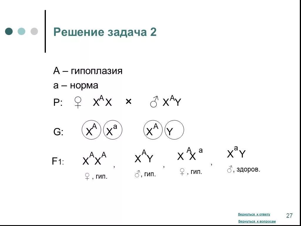 Решение генетических задач на сцепленное с полом наследование. Задачи на генетику пола с решением. Задачи на генетику с полом. Задачи на генетику 2 признака сцепленные с полом.