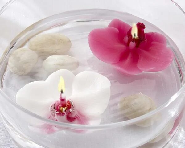 Орхидеи в воде фото Орхидеи в воде фото