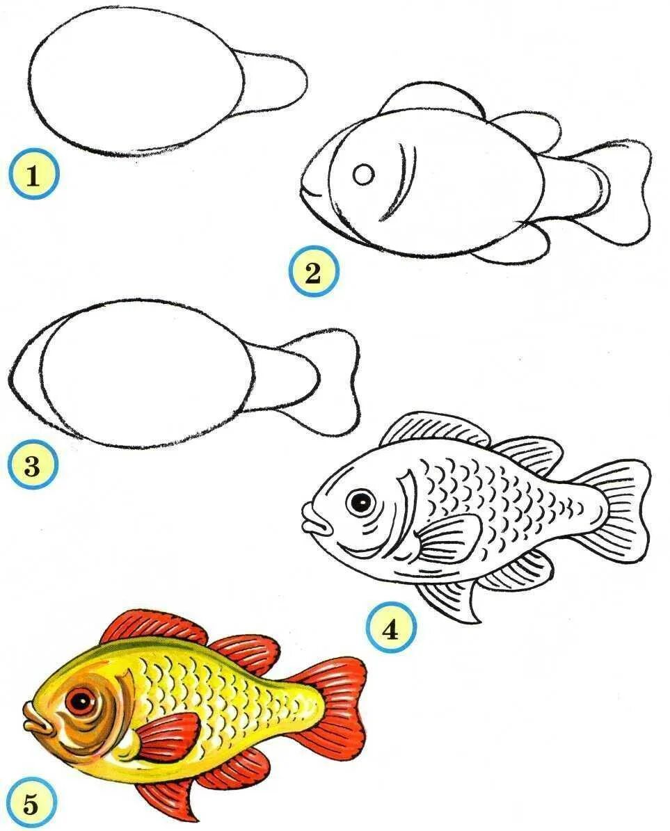 Рисование рыбки. Рисование для детей. Этапы рисования рыбки для детей. Поэтапные рисунки для детей. Учимся рисовать детям 4 года