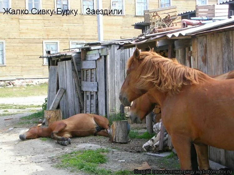 Напилася я наебенилась песня. Опять набухалась. Напилася пьяна не дойду. Напилась я пьяна не дойду. Не дойду я до дома.