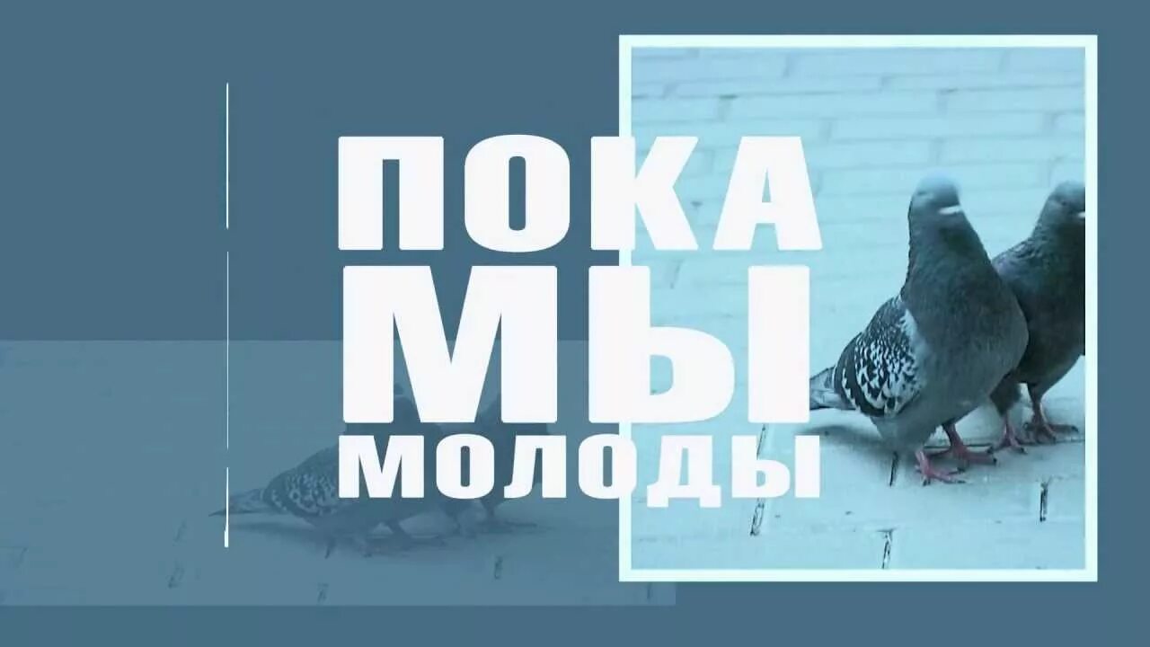 Пока мы молоды пока. Герои пока мы молоды. Пока мы молоды пока мы молоды пока мы любимы. Текст песни пока мы молоды пока мы любимы. Текст песни герои пока мы