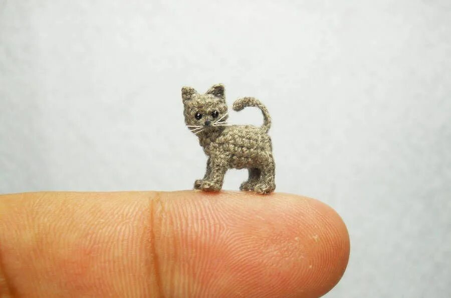 Миниатюрные породы кошек. Пикабу котик игрушка ручной работы. Micro cat. Микро котик мем. Котики из войлока от tomoko masakage.