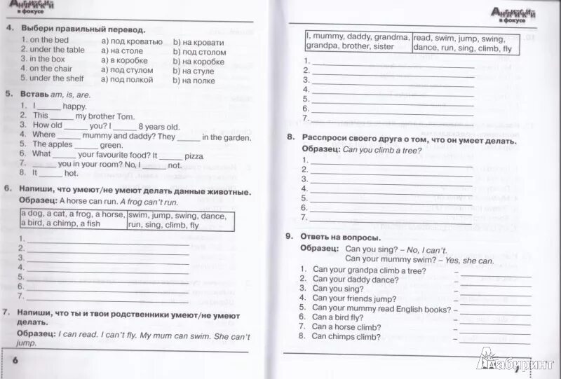 Английский сборник упражнений 3 класс spotlight ответы. Английский в фокусе 3 класс сборник упражнений. Английский язык 3 класс сборник упражнений страница. Английский язык 3 класс сборник упражнений Быкова. Английский в фокусе 3 класс сборник упражнений Быкова.