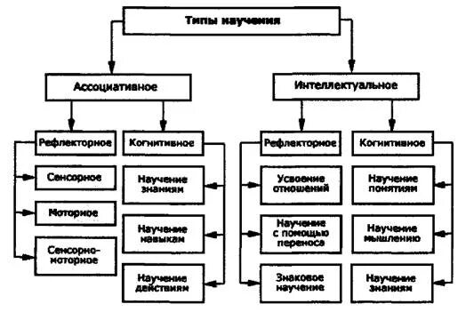 Механизмы научения. Классификация типов научения. Типы научения в психологии. Классификация различных типов научения.. Виды научения в психологии схема.