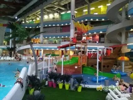 Аквапарк санкт петербург день рождения