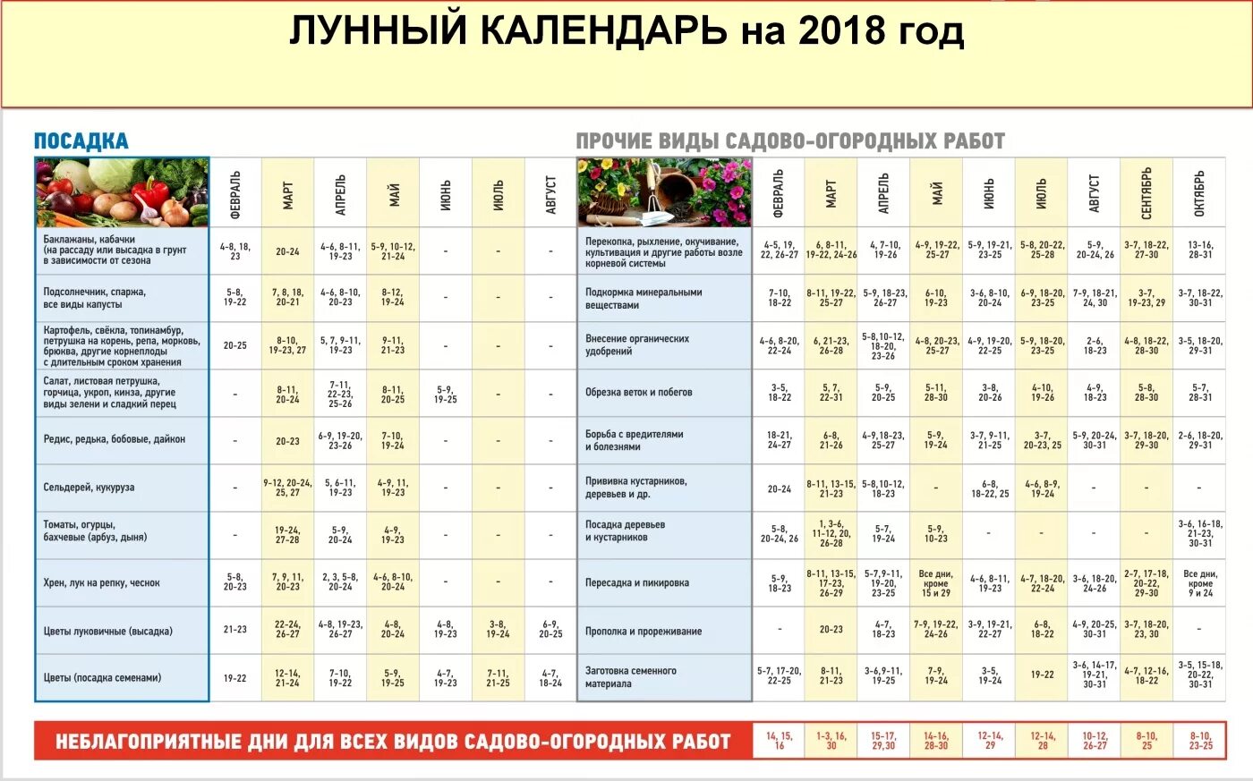 Январь для огородника
