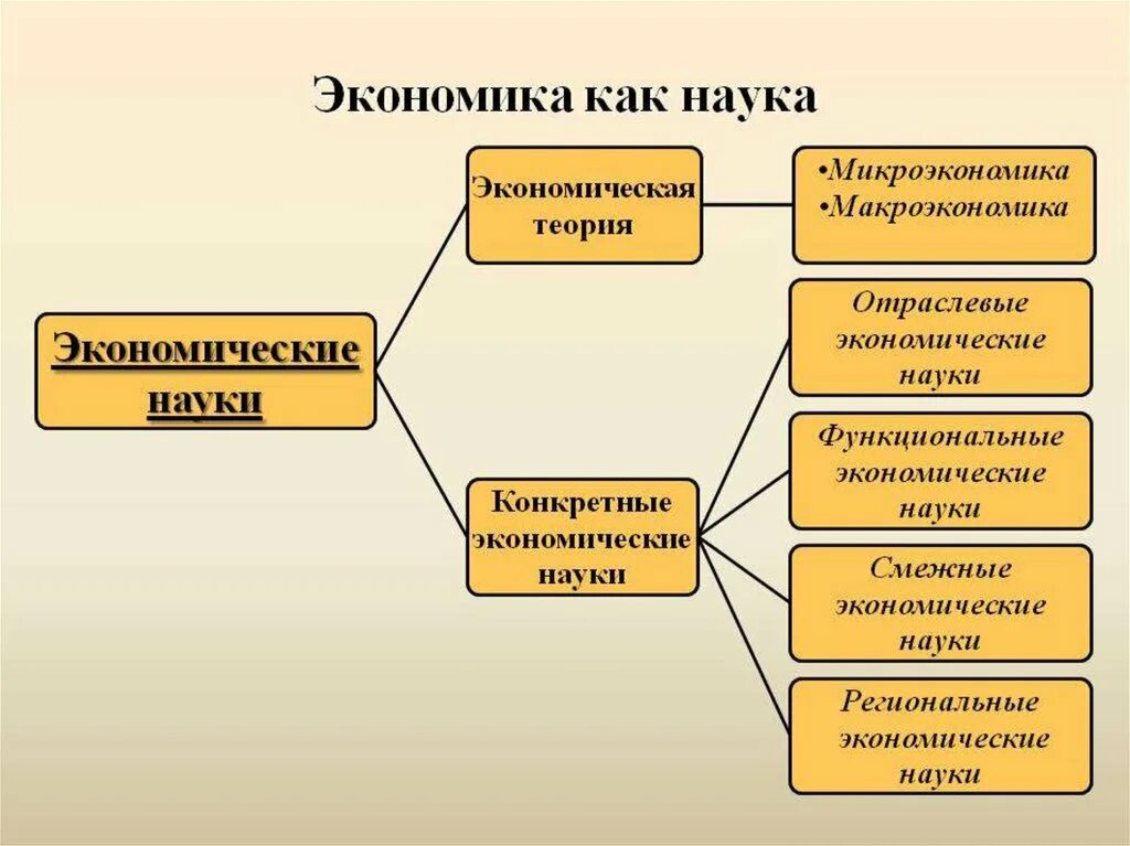 Экономика как наука. Экономическая наука план. Экономика как наука план. Эконика как наука план.