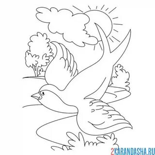 Раскраска весна ласточка и солнце распечатать