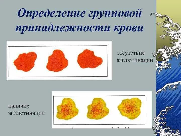 Понятие и значение установления групповой принадлежности