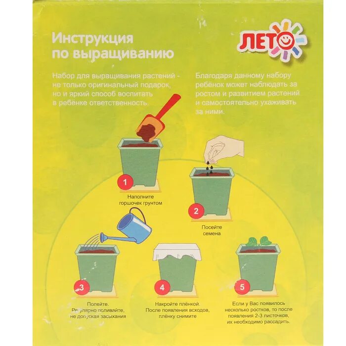 Инструкция посев. Инструкция выращивание растений. инструкция по высадке растений. инструкция по выращиванию цветов. подарок выращивание растений.