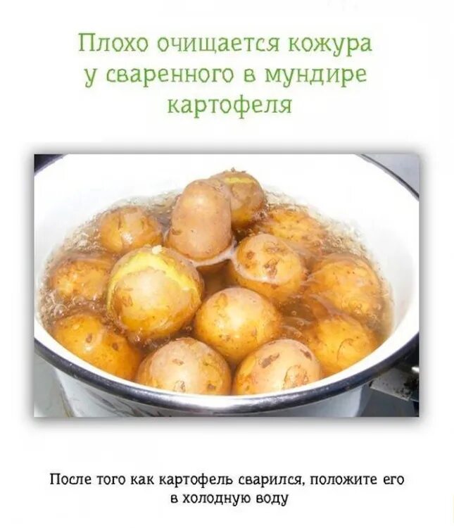 Если картофель подмороженный. Картофель презентация. Варка картофеля в кастрюле в мундире. Испорченная картошка вареная. Бульба.