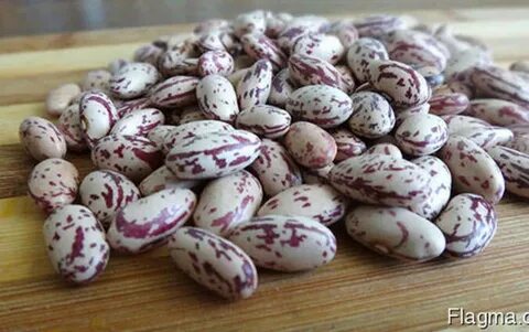 Фасоль с различными видами мяса