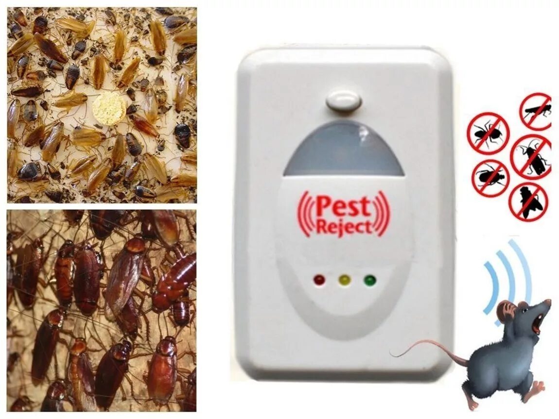 Звук мышей в доме. Отпугиватель от мышей Pest Repeller.