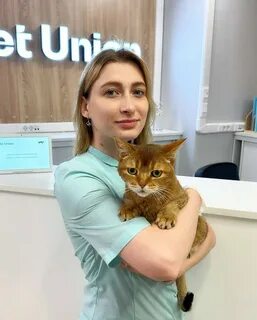 Ветеринар гастроэнтеролог