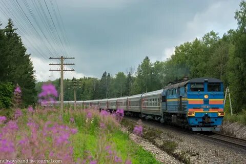 Поезд рыбинск пищалкино