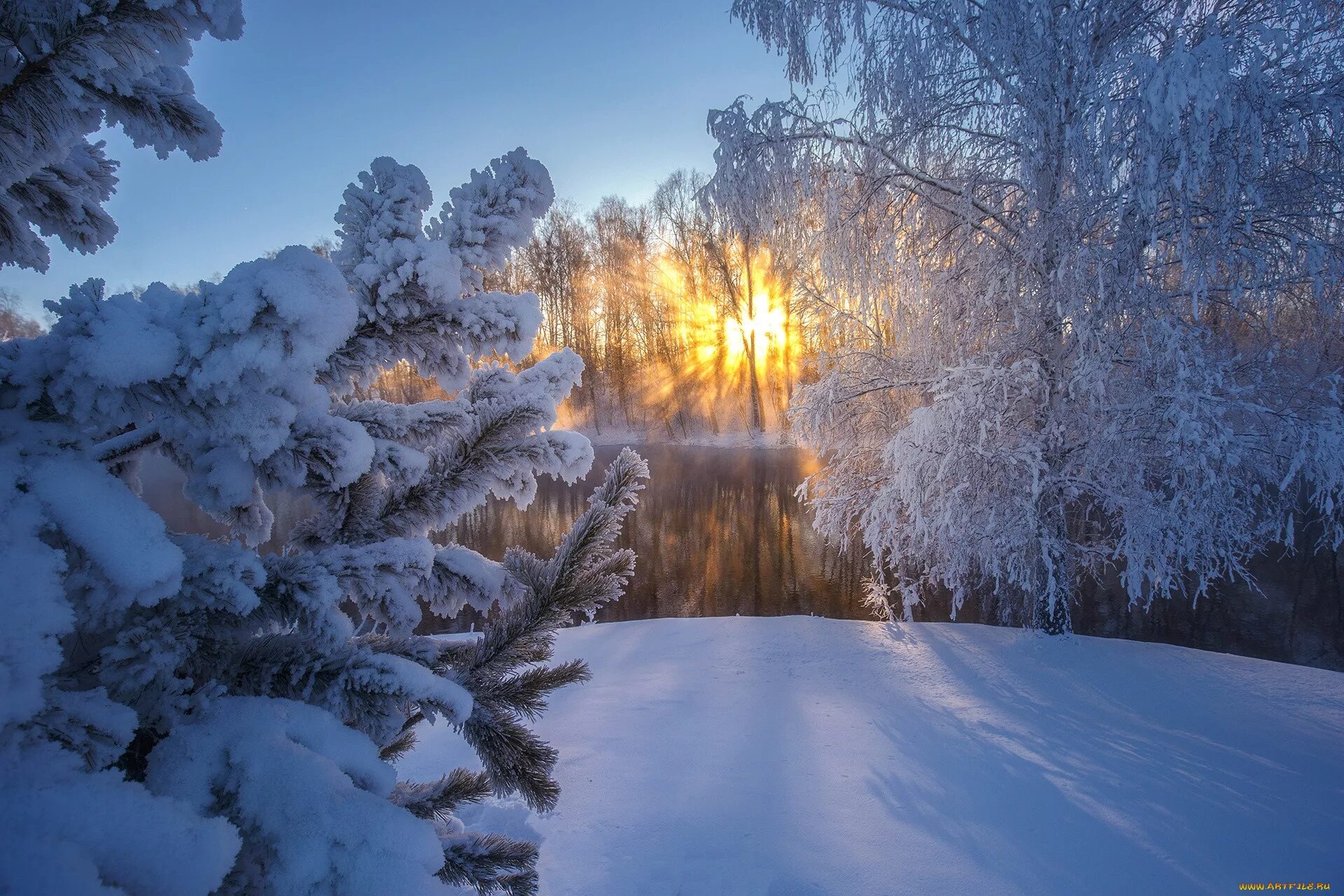 Зима солнце. Зимний пейзаж. Красивая зима. Зимняя природа. Красивое солнце зима