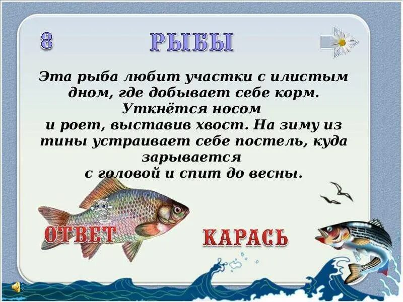 Где рыба песня. Обожаю рыбу. Люблю рыбку. Не люблю рыбу. Кто любит рыбу.