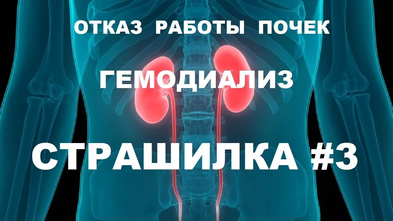 Почему отказывают почки и что происходит. Отказали почки симптомы. Отказали почки симптомы у человека.