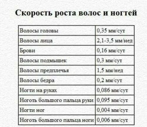 Скорость роста волос на голове в месяц