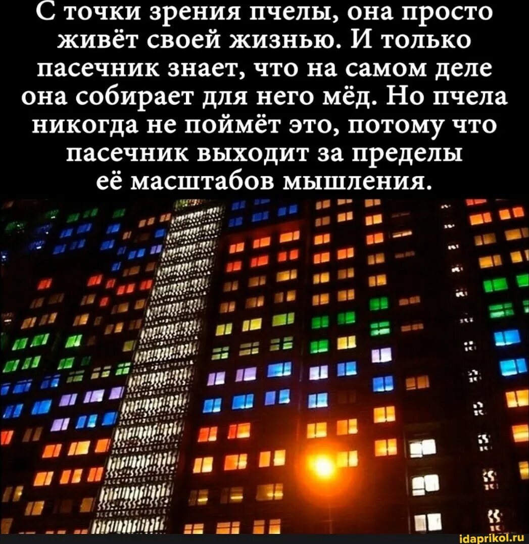 Какая точка зрения вам ближе и почему. С точки зрения пчелы. с точки зрения пчелы, она просто живет своей жизнью. и только. с точки зрения пчелы она. пчелы думают что они просто живут.
