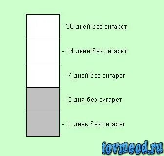 1 день без