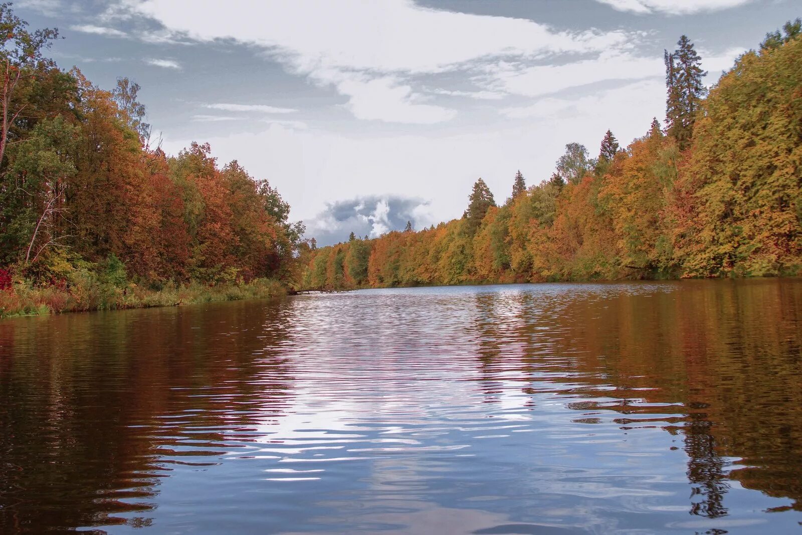 кологривский лес заповедник. заповедник из двух участков. кологривский лес реки. сеймчанский участок магаданского заповедника. заповедник из двух участков.