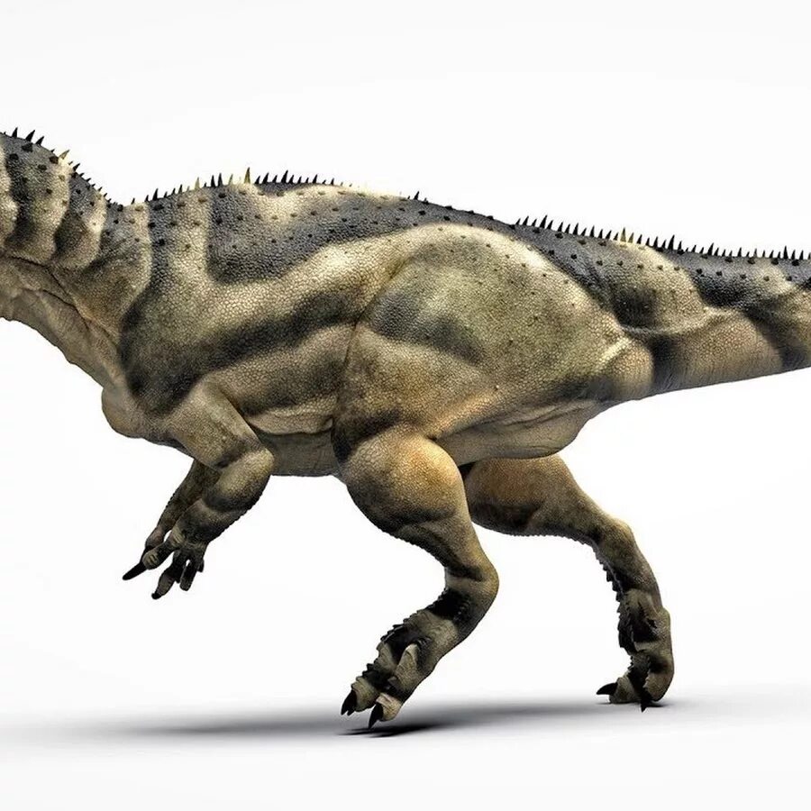 Заурофаганакс. Заурофаганакс Планета динозавров. Заурофаганакс Maximus. Заурофаганакс и Тираннозавр.