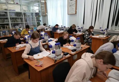 Газета электронное образование новосибирск