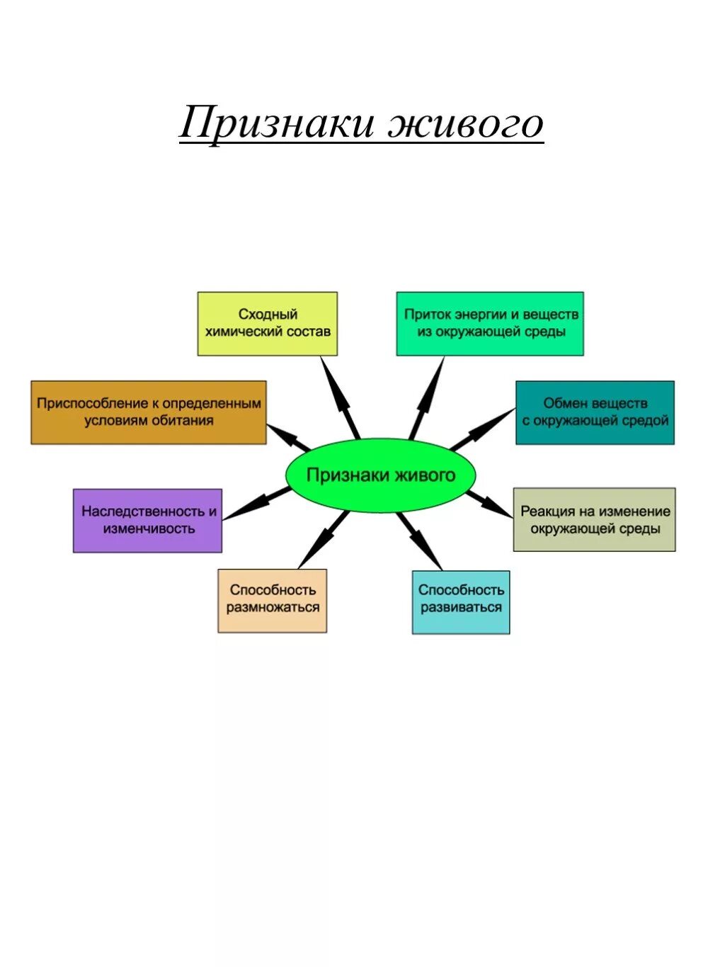 Каковы признаки живого ответ. Основные признаки живых организмов. Признаки живого. Схема признаки живого.