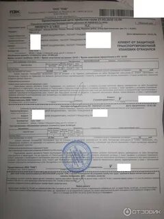 Пэк транспортная отзывы