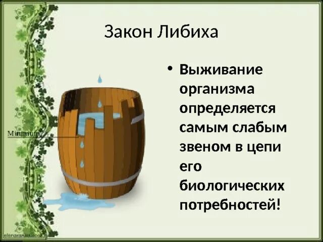 Минимума либиха. Бочка либиха и лимитирующие факторы. биология бочка либиха. бочка либиха закон. правило минимума бочка либиха.