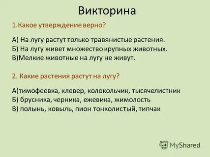 Какое утверждение верно ответ