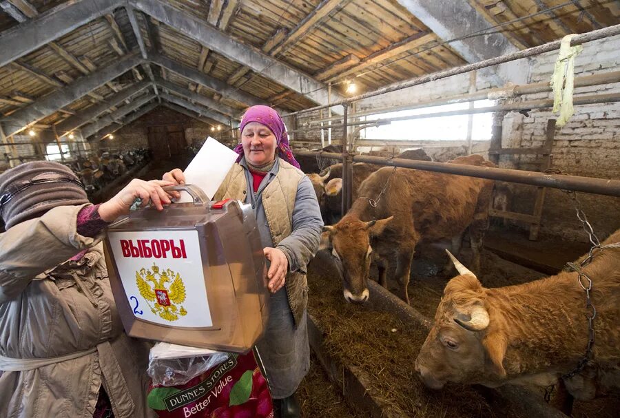 агалатовское сельское поселение. выборы в сельских поселениях. деревня кукары цивильского района. дом в телекеево. администрация карабихского поселения.
