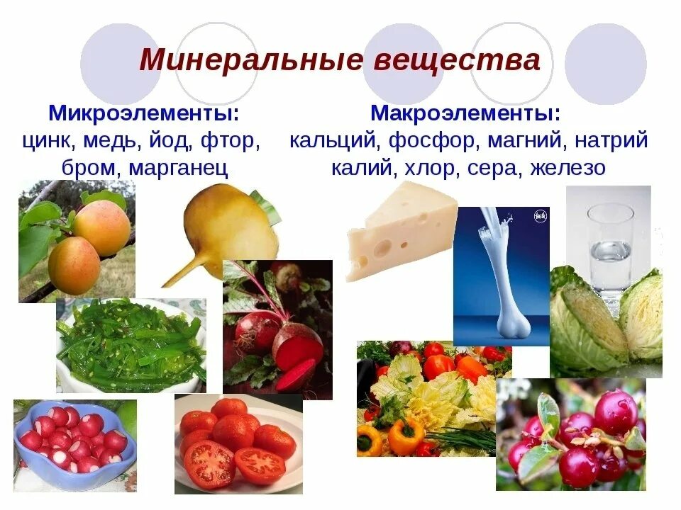 Витамины микро и макроэлементы. Минеральные вещества микроэлементы. витамины и минеральные вещества в продуктах. макроэлементы в пище. витамины макро и микро элементы.