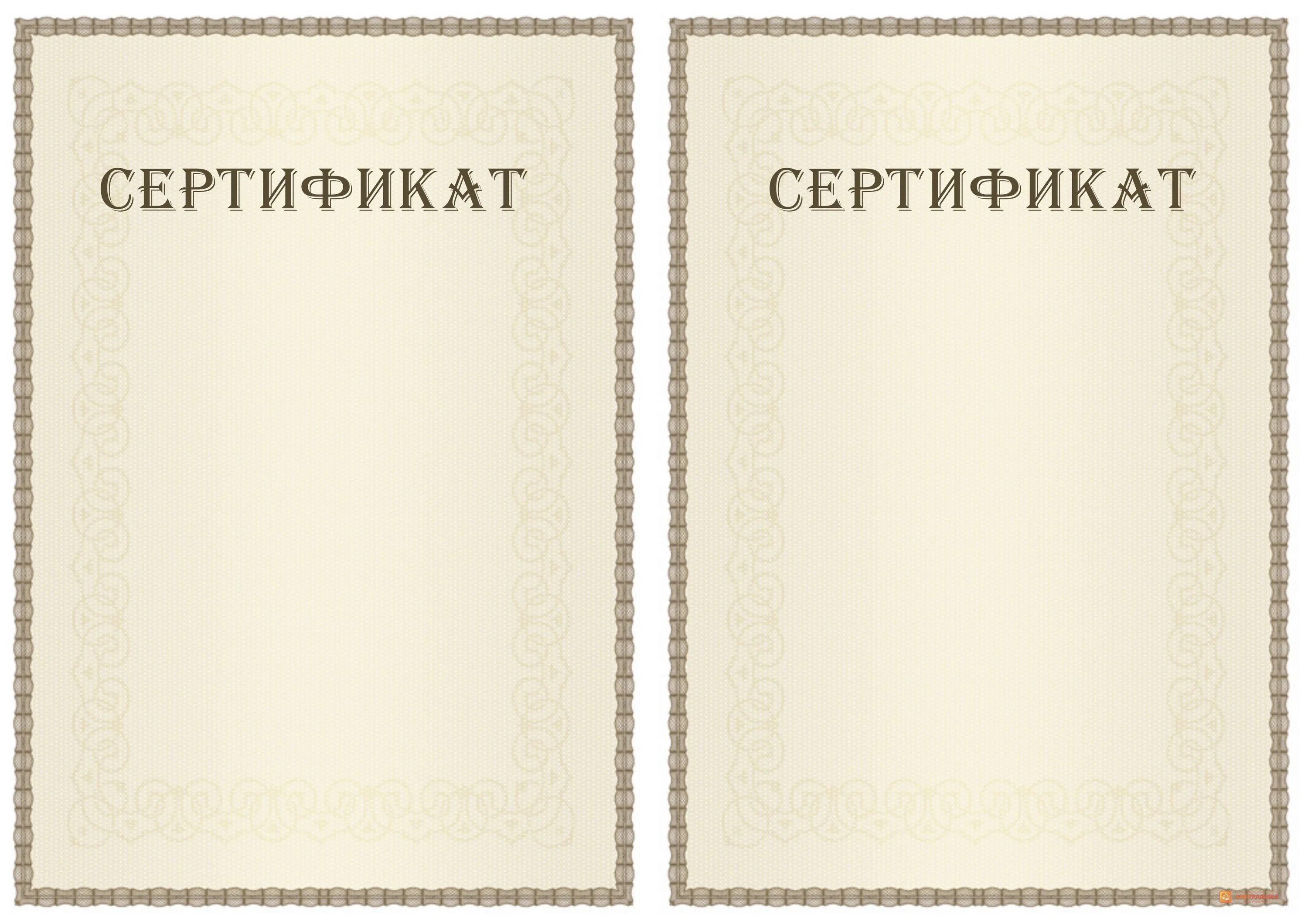 Рамка для сертификата. Сертификат бланк. Бланки сертификатов. Сертификат шаблон. Бланк сертификата купить