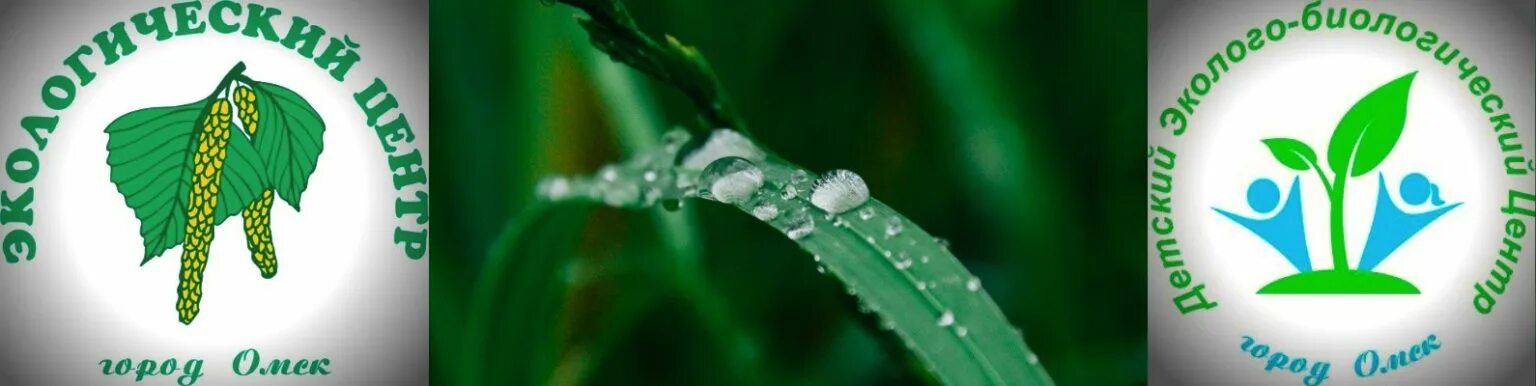 экоцентр омск